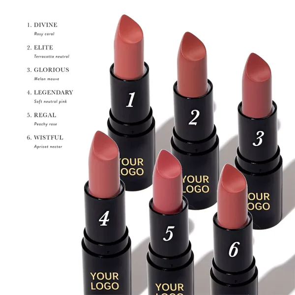 Private Label Custom Waterproof Long Lasting Nude Velvet Matte Lipstick – Bild 7