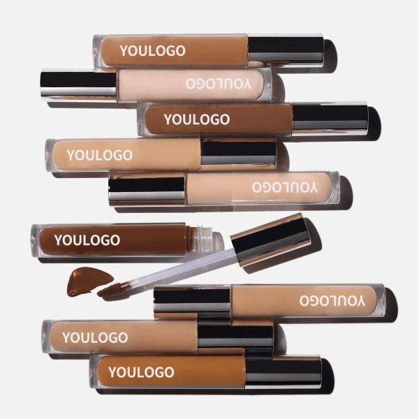correcteur pro