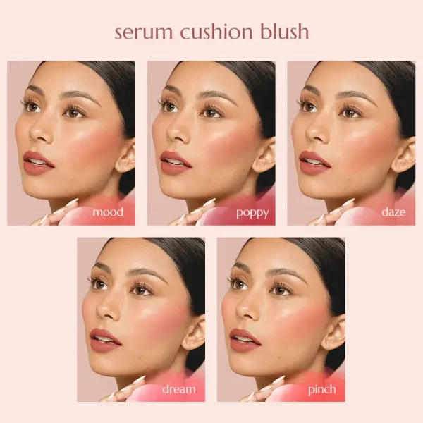 air cushion blusher
