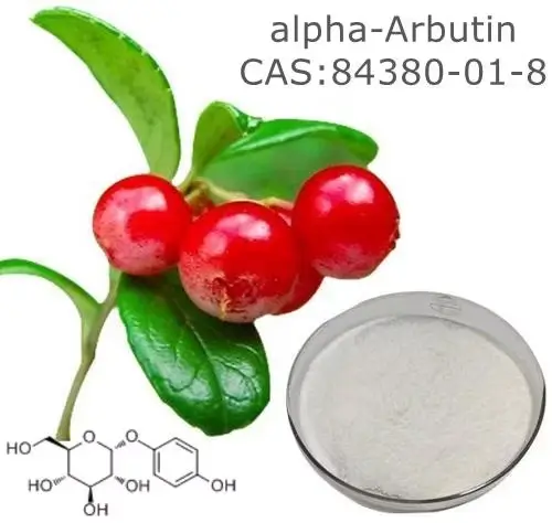 α arbutin powder