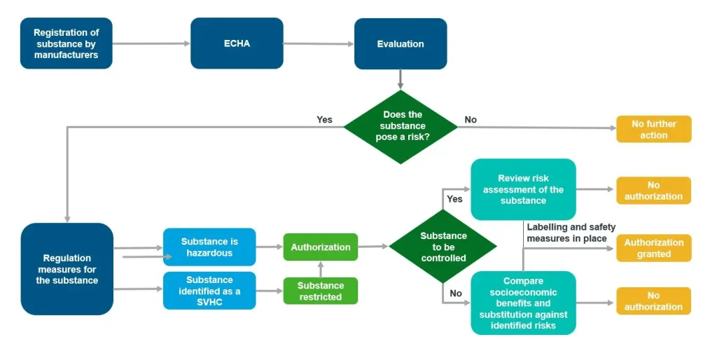 Flowchart depicting the ECHA evaluation process for substance registration and risk assessment, including decision points for authorization and regulation measures.