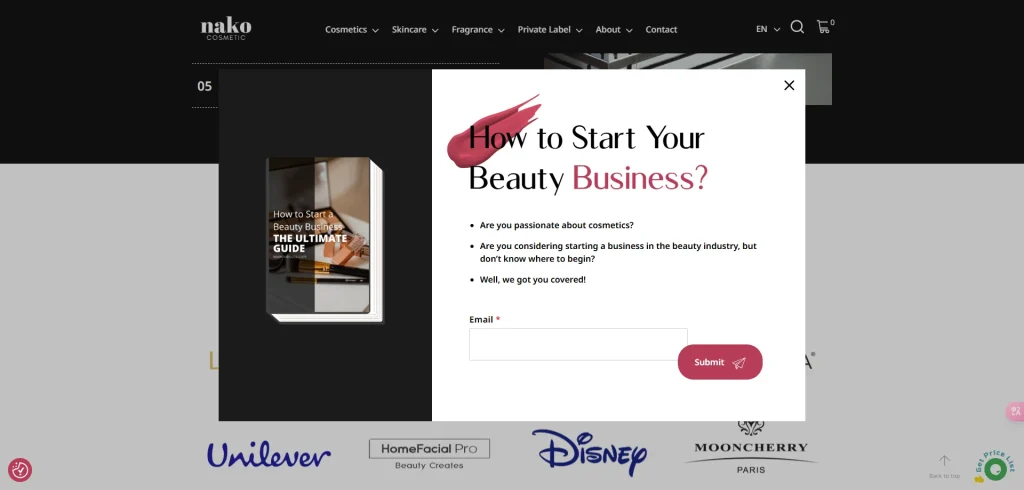 Nako Cosmetics website popup offering a guide on how to start a beauty business with email subscription.