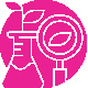 222 1 1 1 1.png